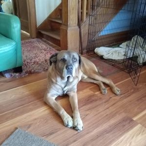 Meet your Posher, Sally